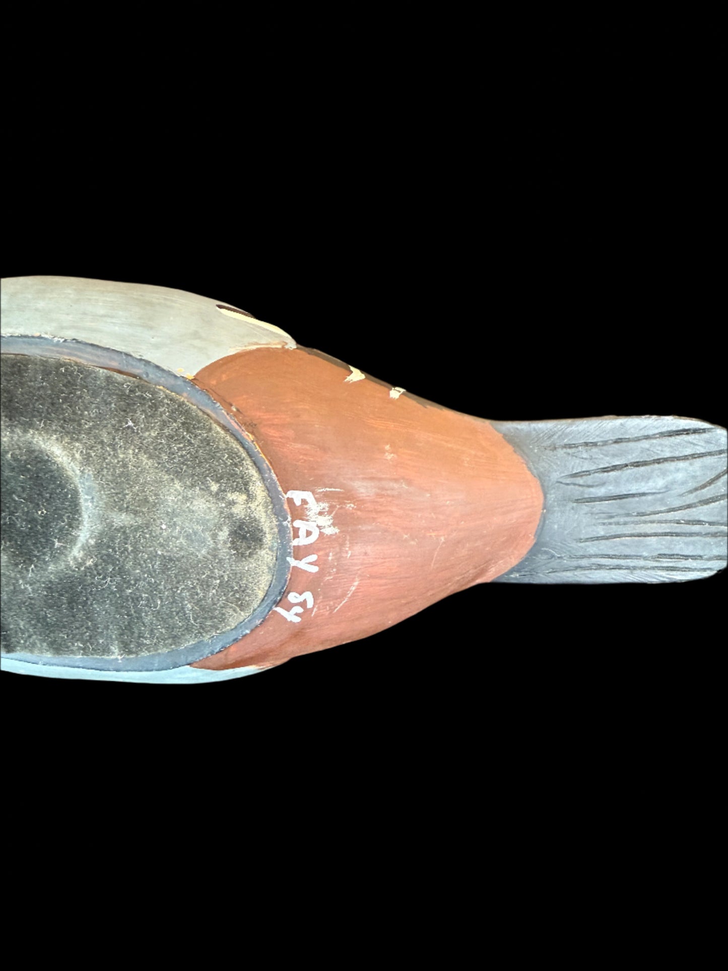 Wooden Drake Wood Duck