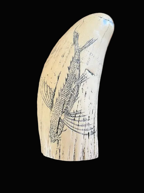 Rachel Pringle Polgreen Replica Whale Tooth Scrimshaw