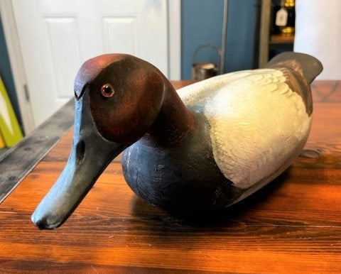 Duck Decoy - Canvasback MALE - Annapolis Maritime Antiques