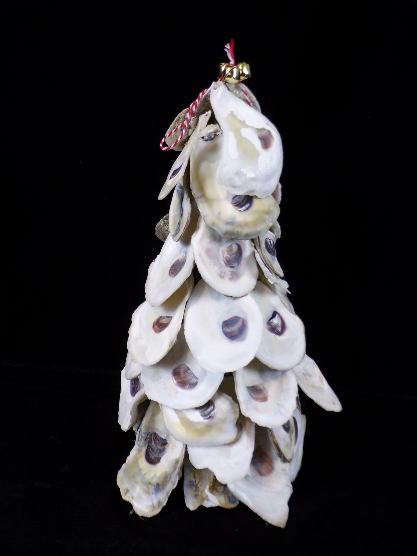 Oyster Shells - Christmas Decorated - Ornamental