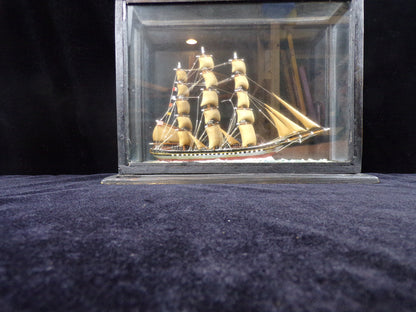 Diorama Tall Ship Rosa in Glass Shadow Box