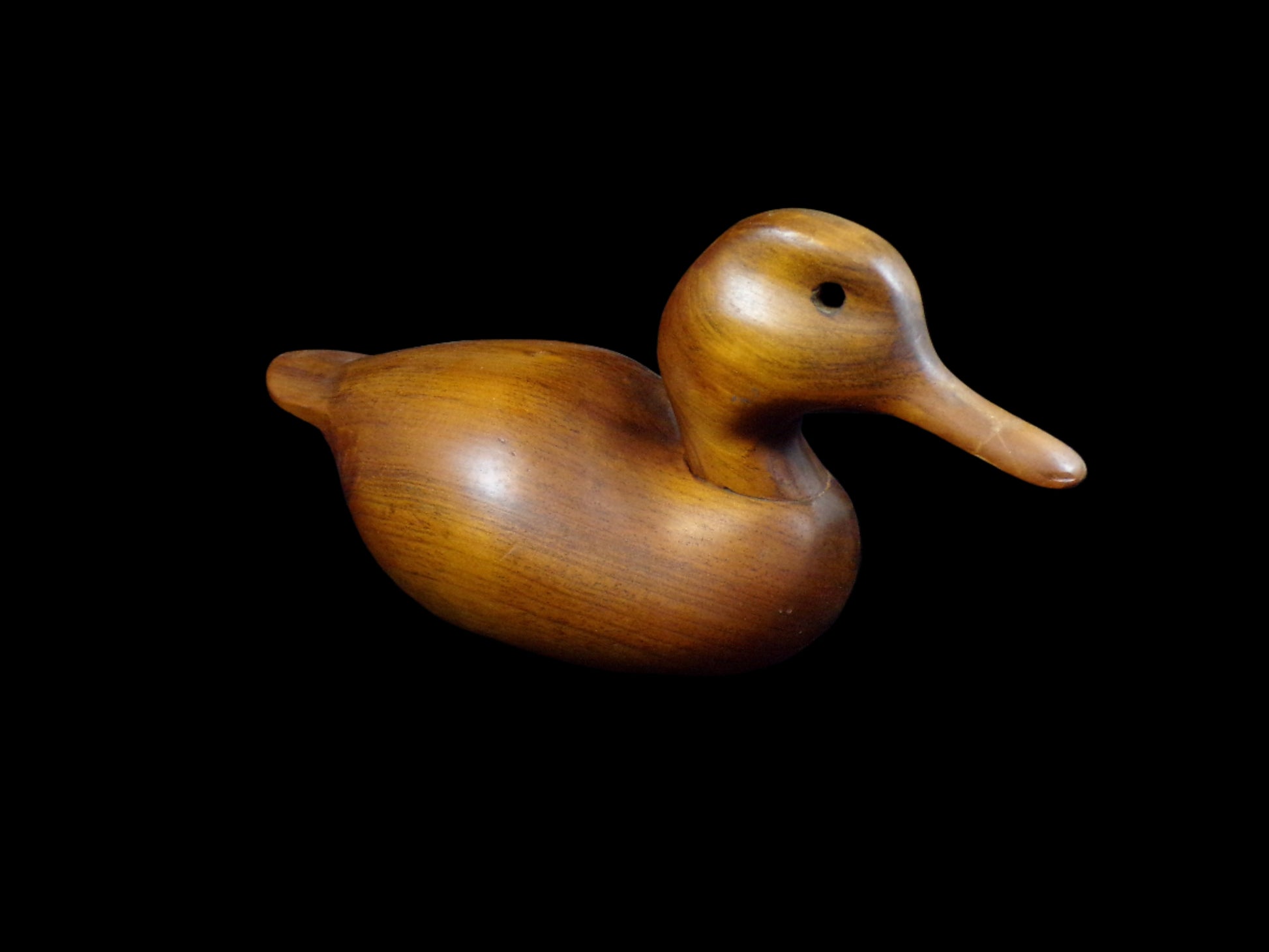 Side view of duck, showing missing eye.