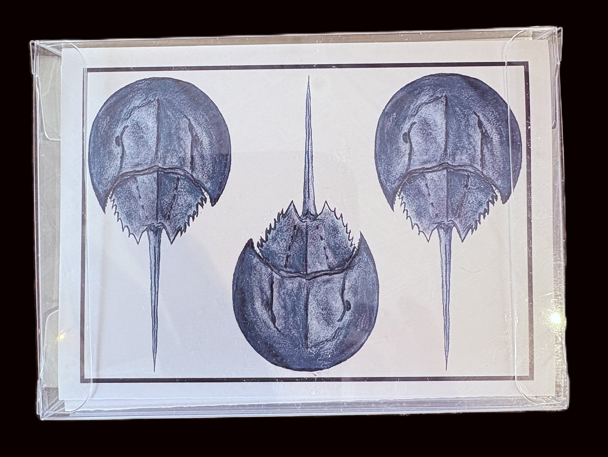 McVan Designs Notecards - Annapolis Maritime Antiques