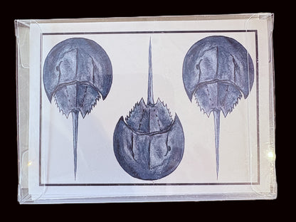 McVan Designs Notecards - Annapolis Maritime Antiques