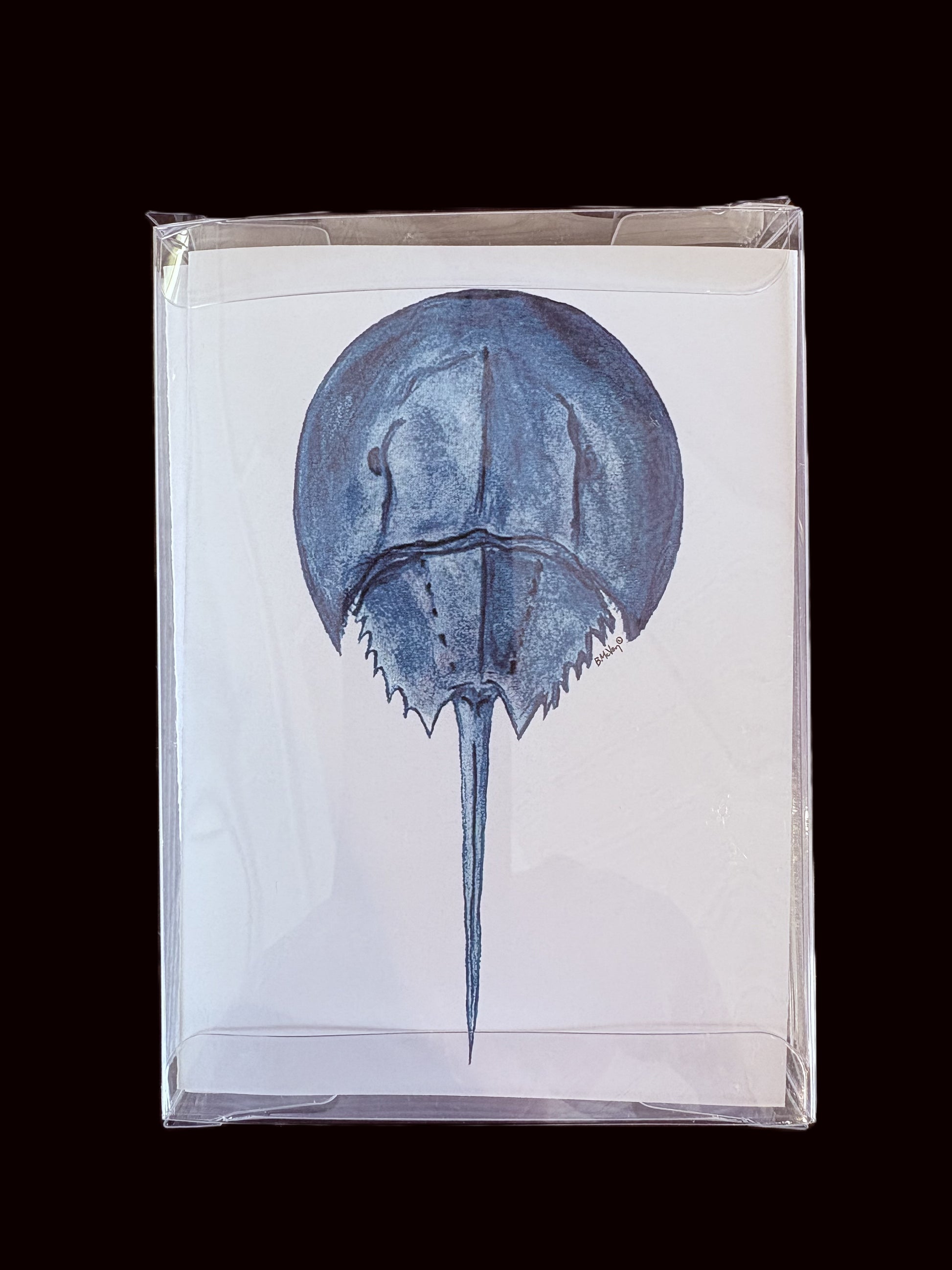 McVan Designs Notecards - Annapolis Maritime Antiques