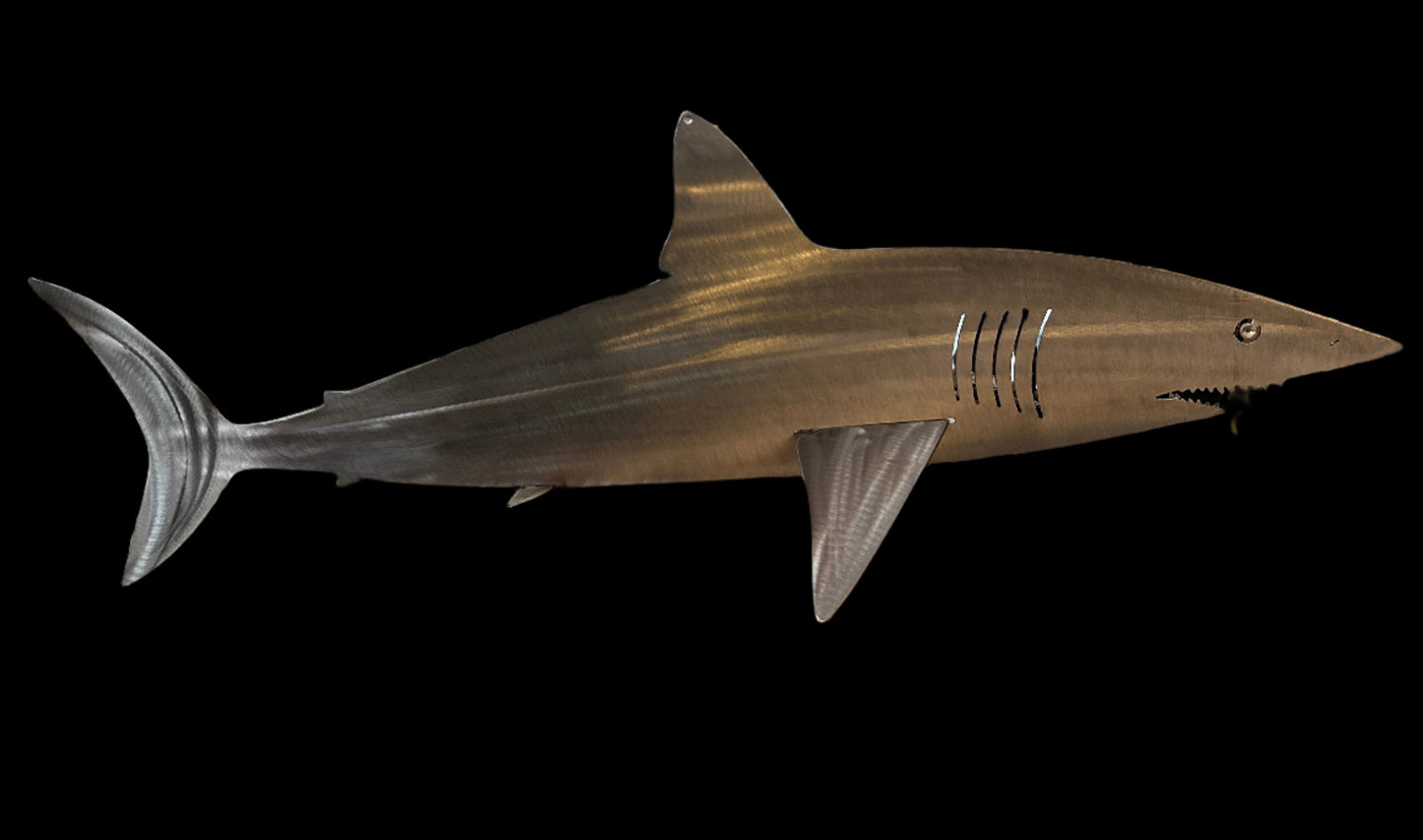 Mako Shark