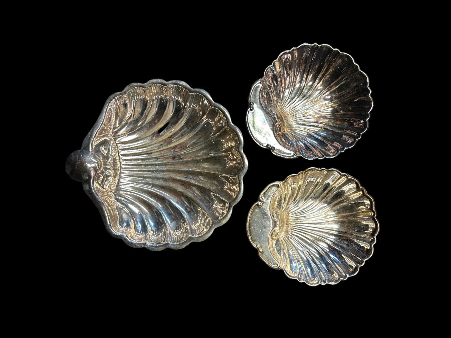 Silver Scallop Shell Dish