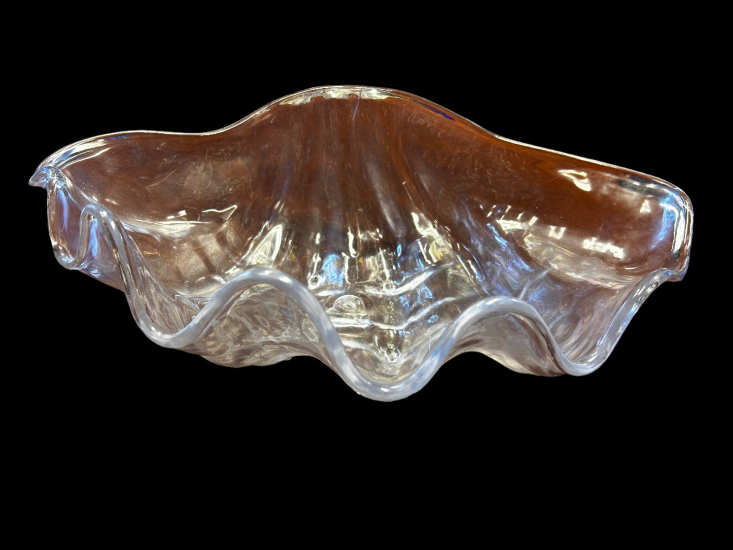 Giant Clam Shell Bowl