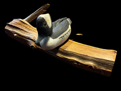 Bufflehead on Wood