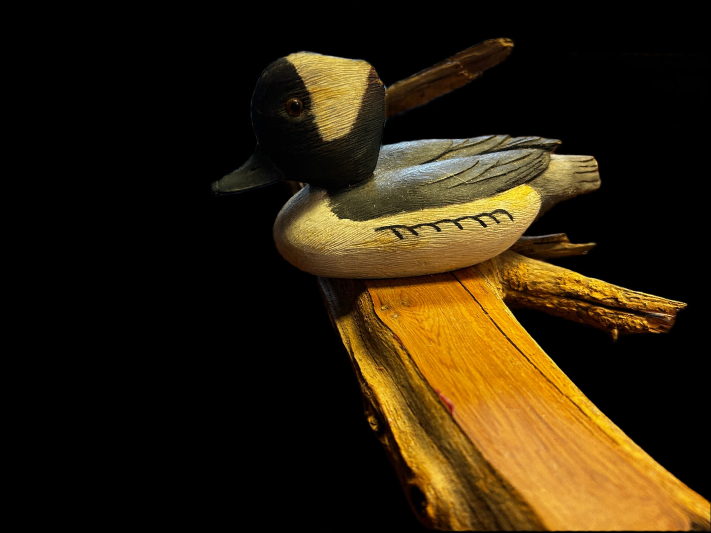 Bufflehead on Wood