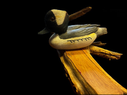 Bufflehead on Wood