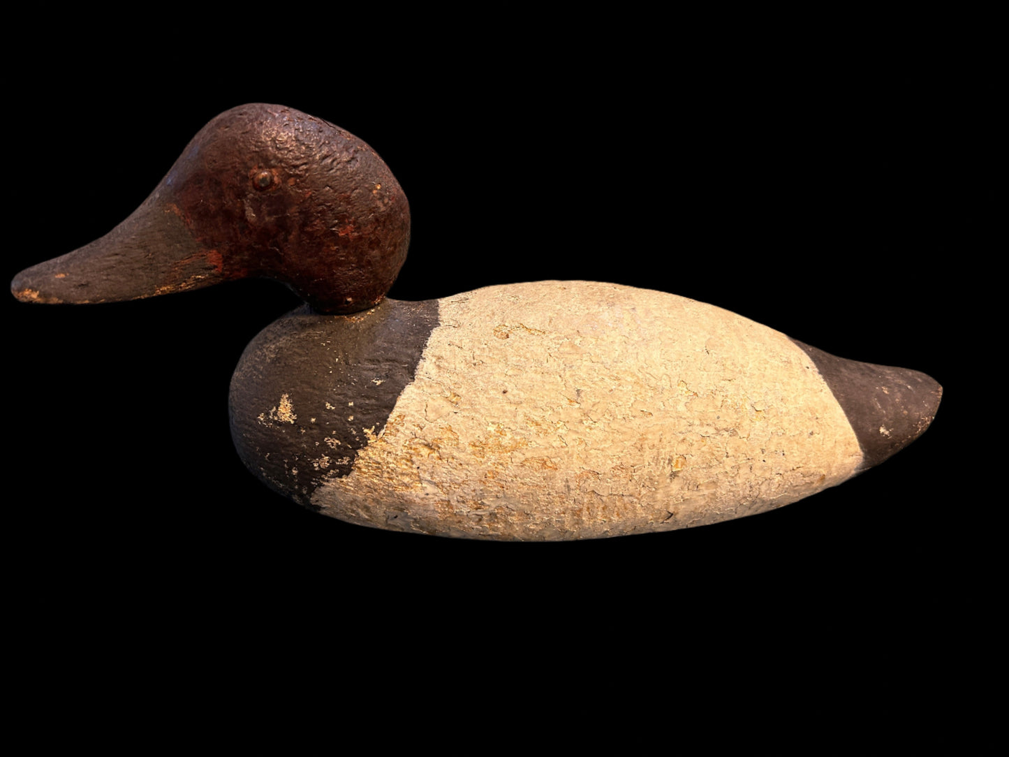 Handmade Canvasback Decoy