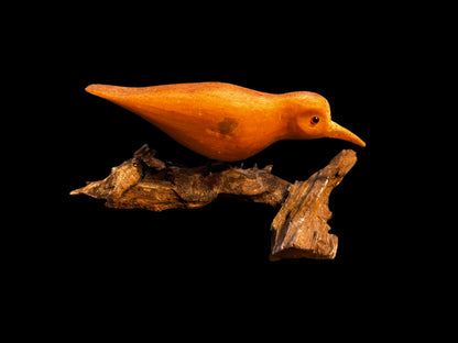 Sandpiper on Driftwood