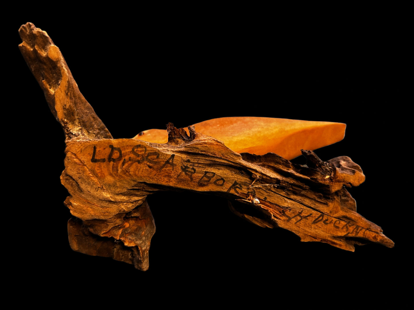 Sandpiper on Driftwood