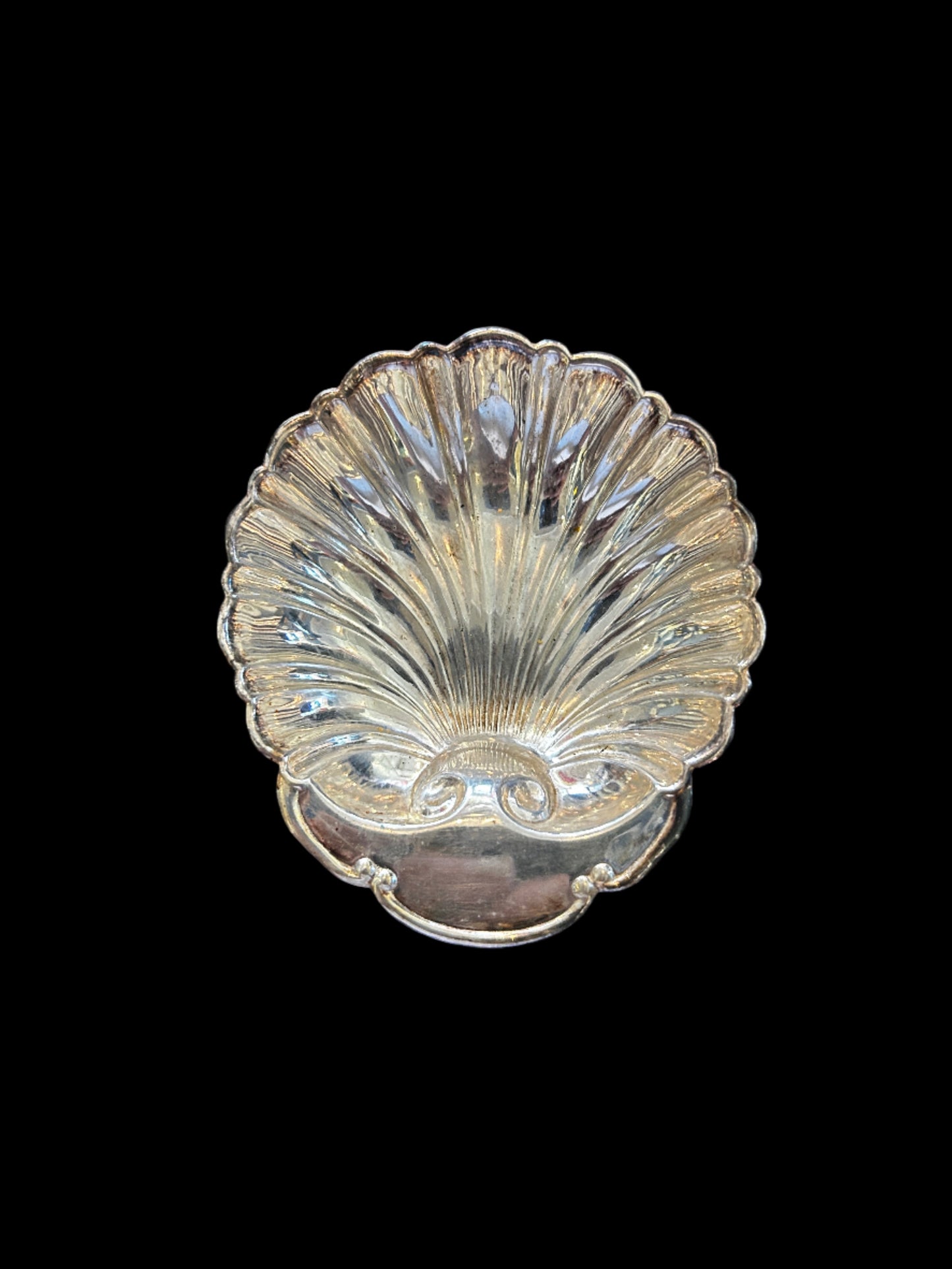 Silver Scallop Shell Dish