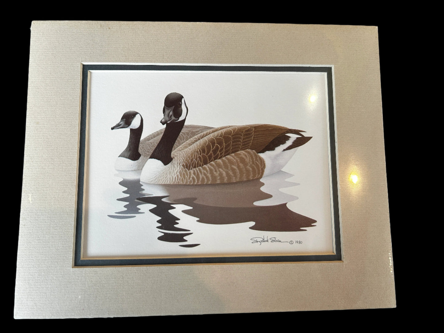 Canadian Geese Print