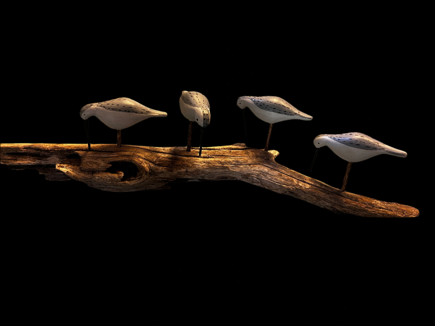 Sandpipers on Driftwood