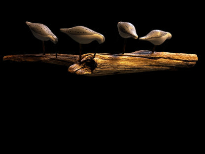 Sandpipers on Driftwood