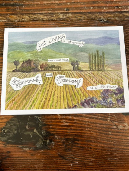 Boxed Notecards by local artist, Julie Winkler Breed