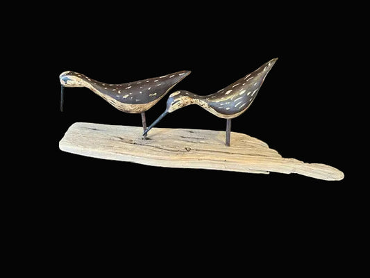 Shorebirds on Driftwood