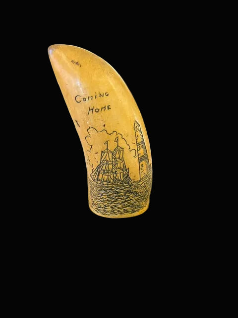 Replica Whale Tooth with Scrimshaw