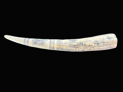 Replica Walrus Tusk Scrimshaw