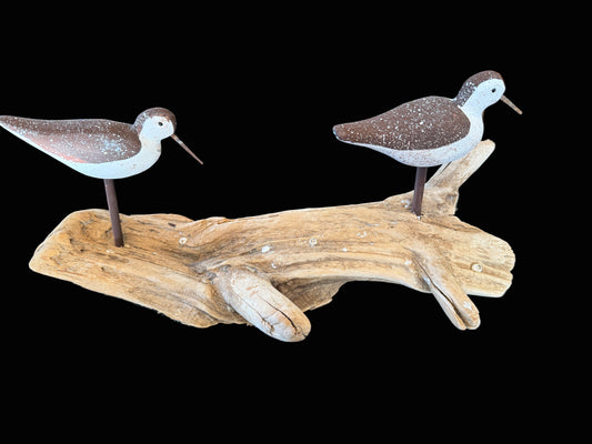 Sandpipers on Driftwood