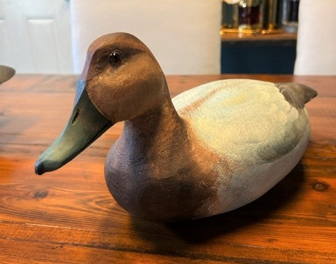 Duck Decoy - Canvasback FEMALE