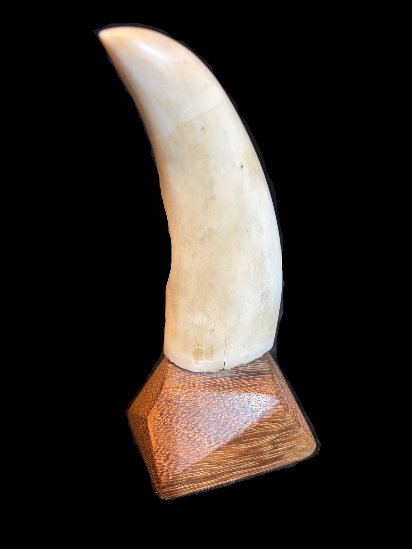 #Scrimshaw Whale’s Tooth Replica – Nautical Ship & Whale Scene – Signed “Frank” – Wooden Base