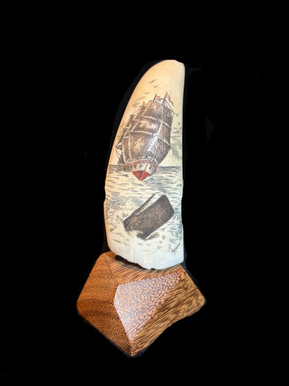 #Scrimshaw Whale’s Tooth Replica – Nautical Ship & Whale Scene – Signed “Frank” – Wooden Base
