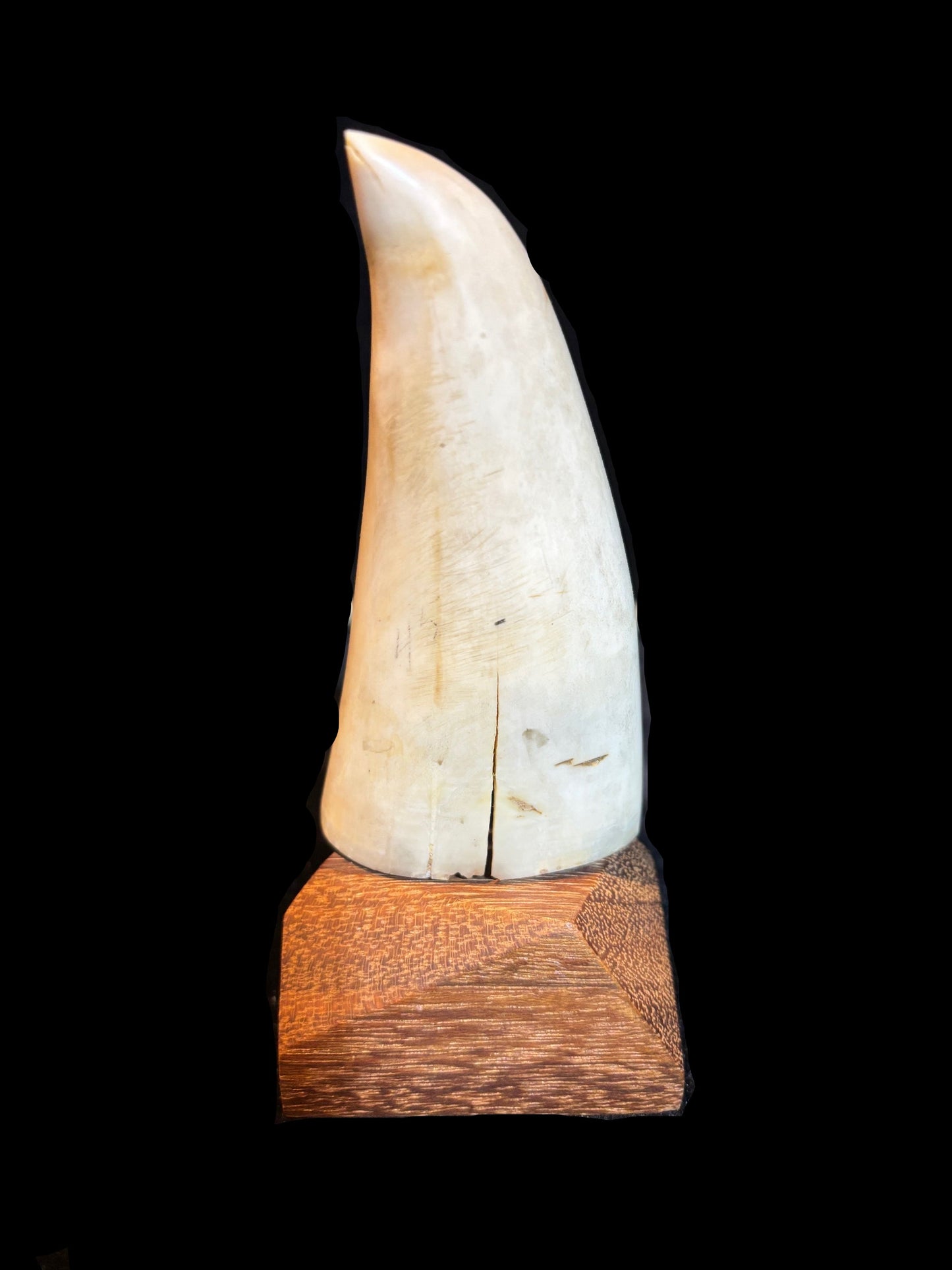 Scrimshaw-Style Whale’s Tooth on Wooden Base – Nautical Art Collectible