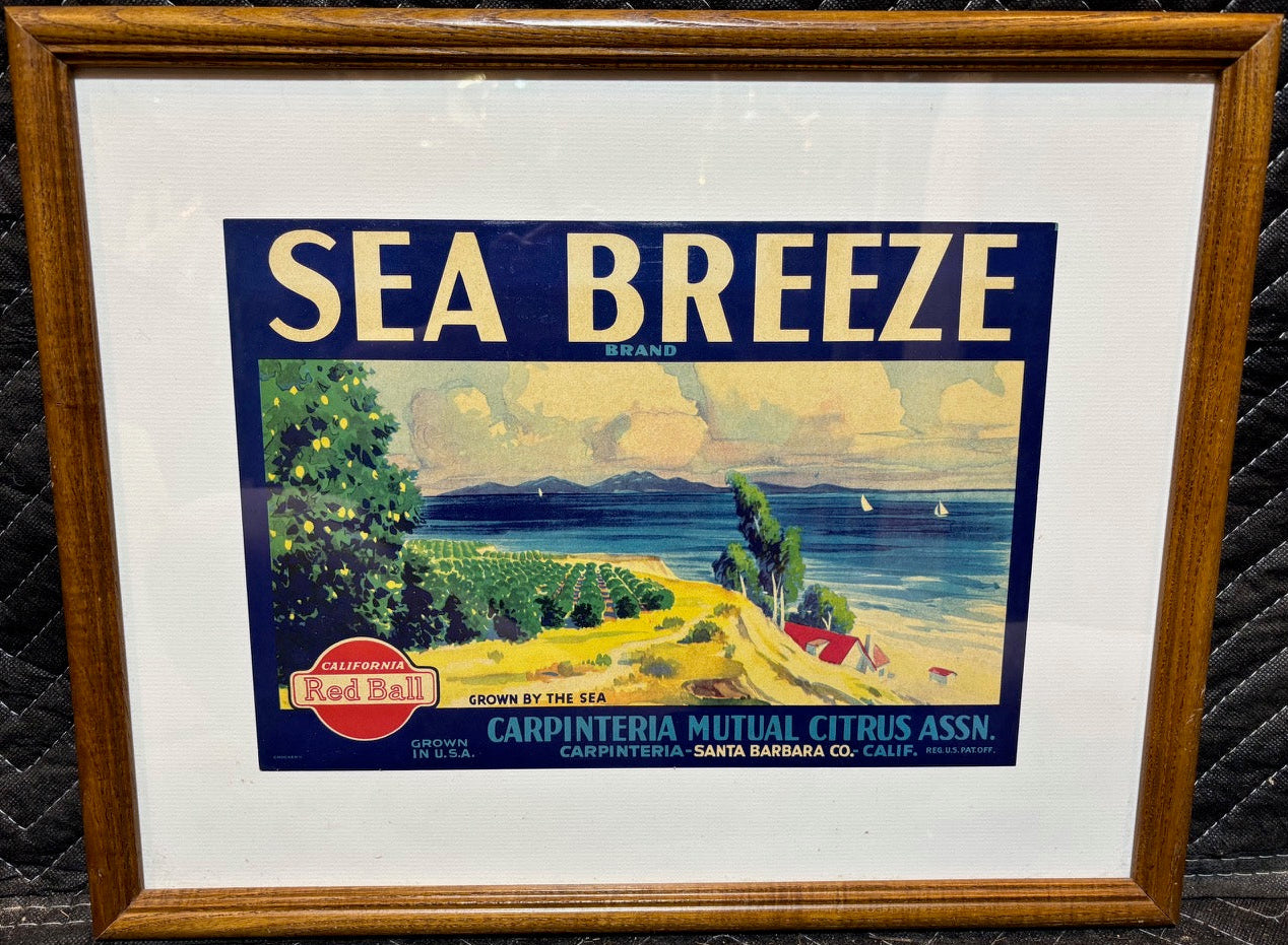 #"Sea Breeze Brand" Citrus Crate Label – Framed