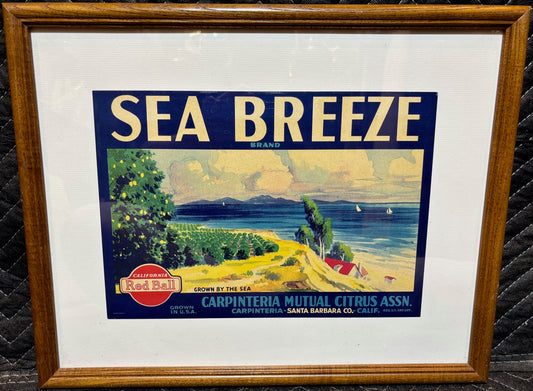 #"Sea Breeze Brand" Citrus Crate Label – Framed