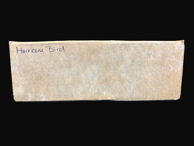 “Hurricane Bird” 1856 Baltimore Brigantine Wooden Ship Model Kit – Hobbies at Home