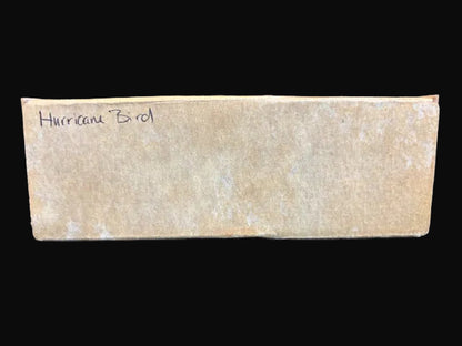 “Hurricane Bird” 1856 Baltimore Brigantine Wooden Ship Model Kit – Hobbies at Home