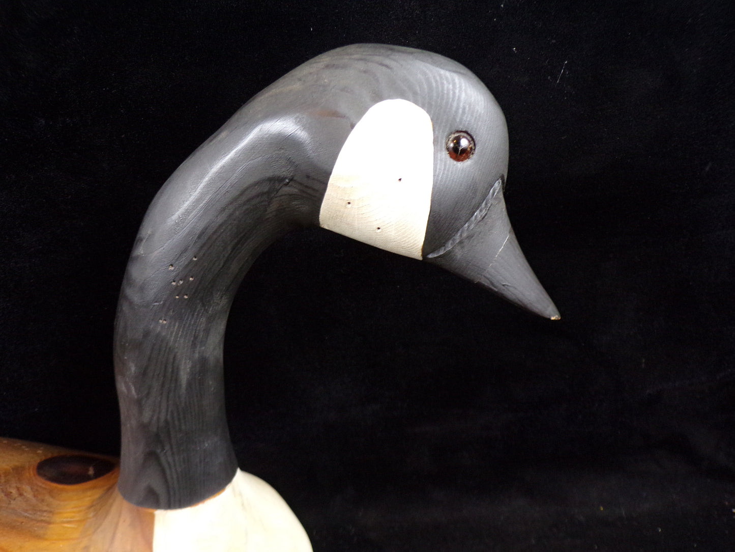 Decoy - Canada Goose / Carving