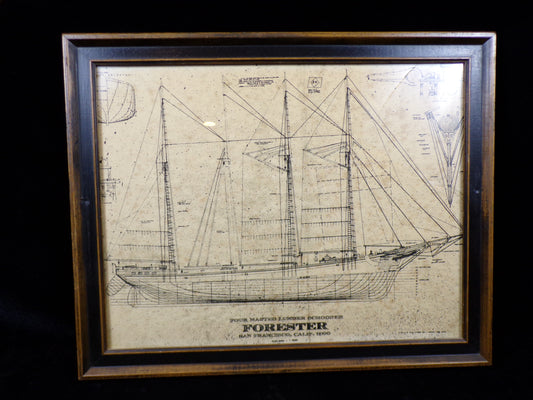 Schooner " Forester" / 4 Masted, Architectural Framed Print