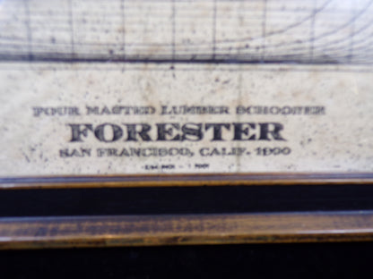 Schooner " Forester" / 4 Masted, Architectural Framed Print