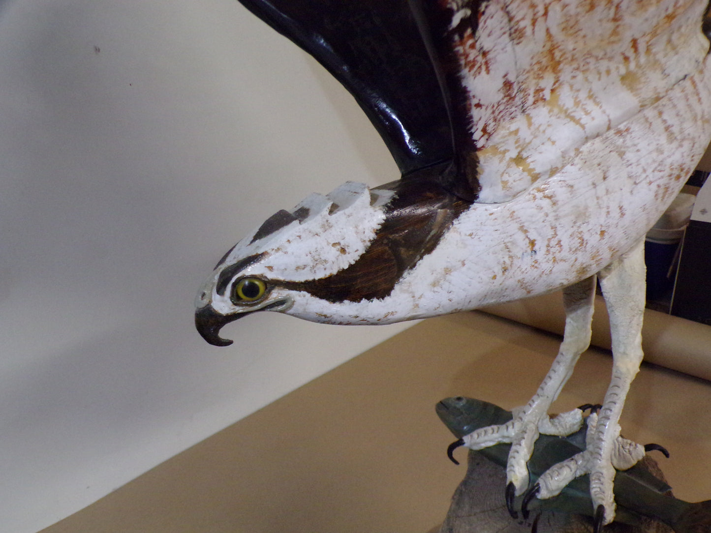 Osprey with Baby Bluefish - Wood Carving