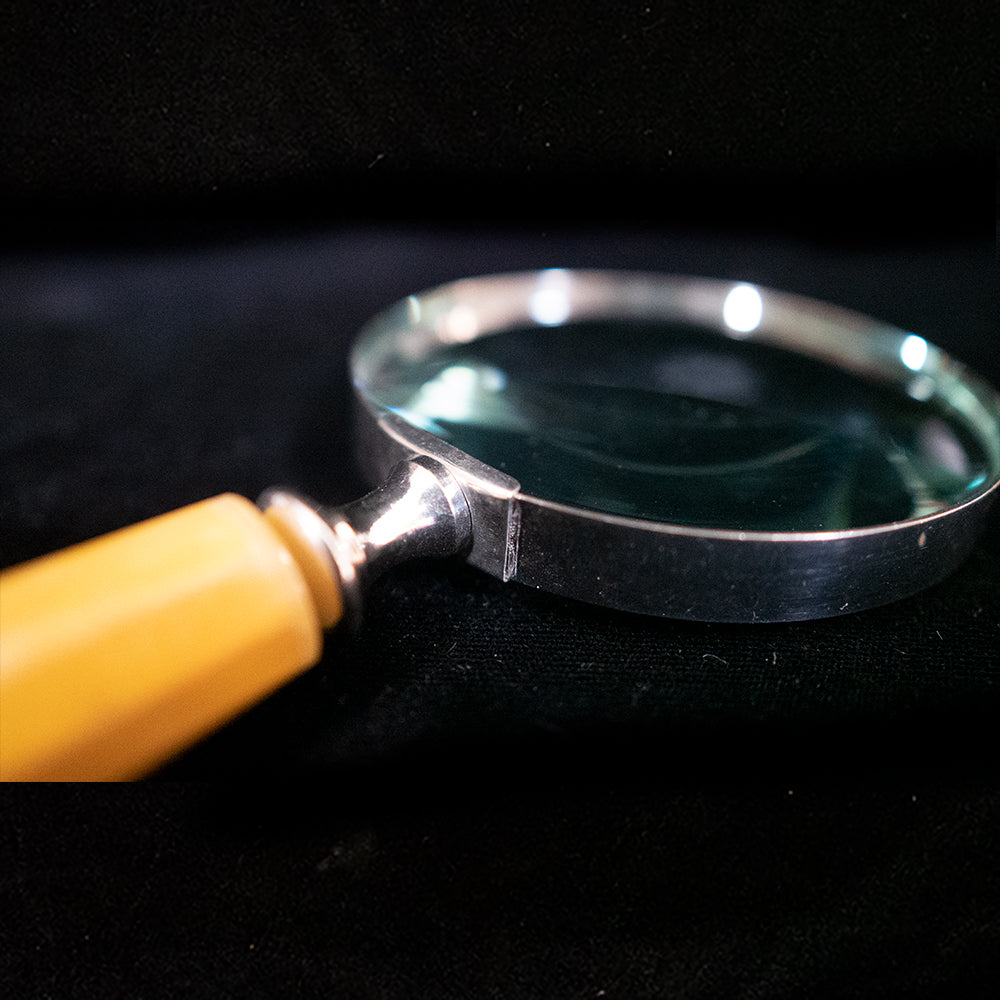Magnifying Glasses, 4" Diameter with Assorted Handles