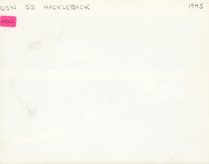 USS Hackleback (SS-295) Submarine
