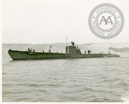 USS Porpoise (SS-172 / P-1) Submarine