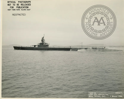 USS Titlefish (SS-307) Submarine