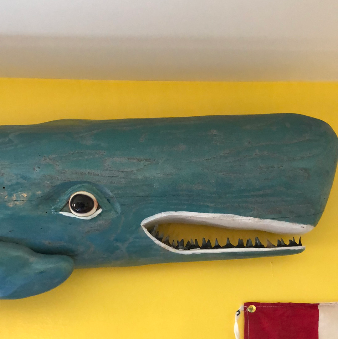 54" Blue Chestnut Sperm Whale, Shark Teeth, Wood Carving