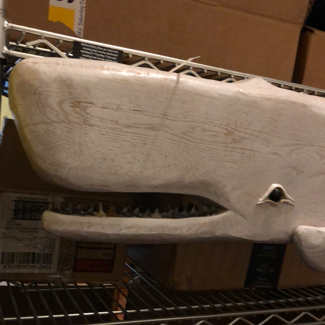 43" White Sperm Whale, Shark Teeth, Wood Carving