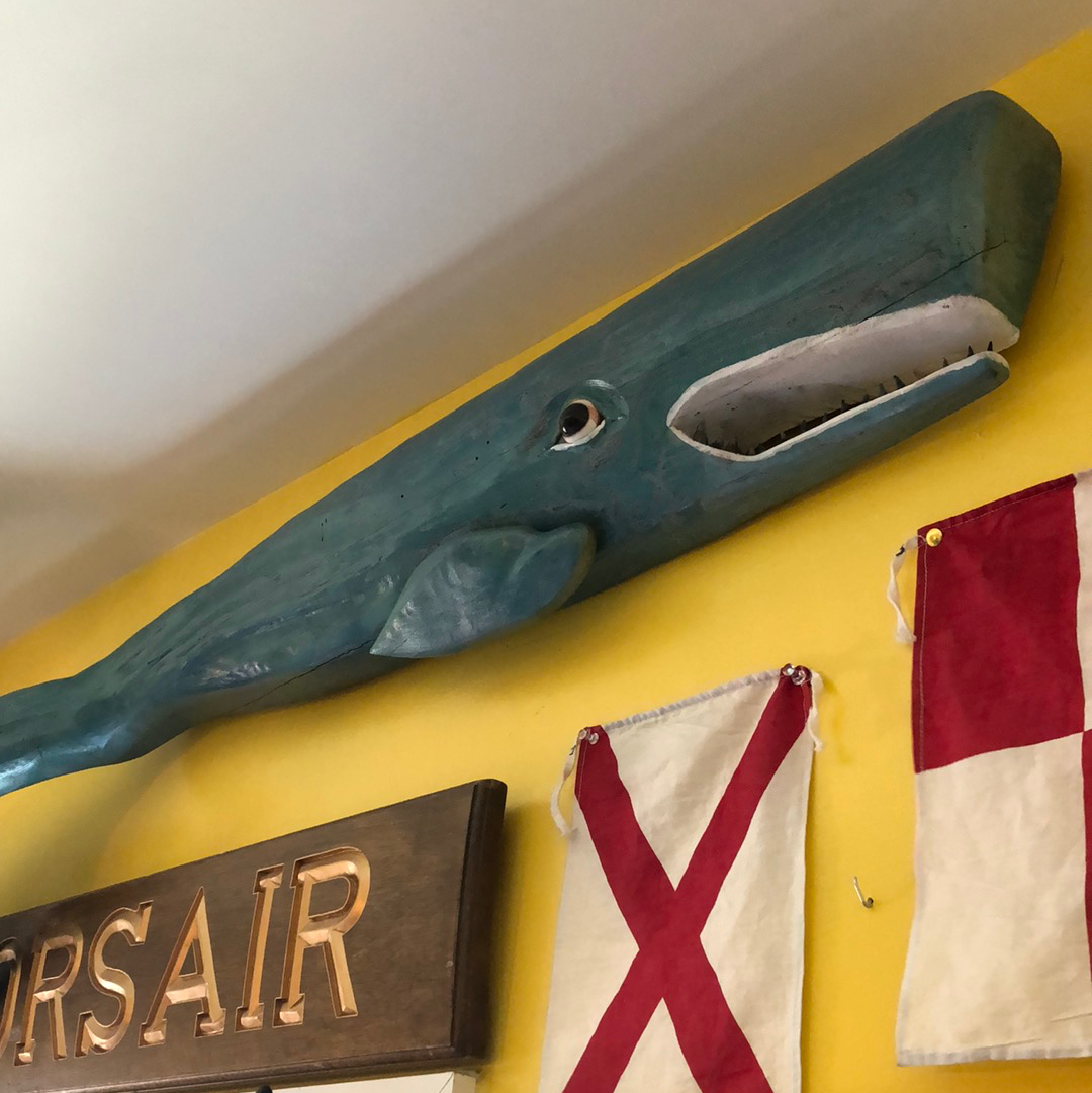 54" Blue Chestnut Sperm Whale, Shark Teeth, Wood Carving