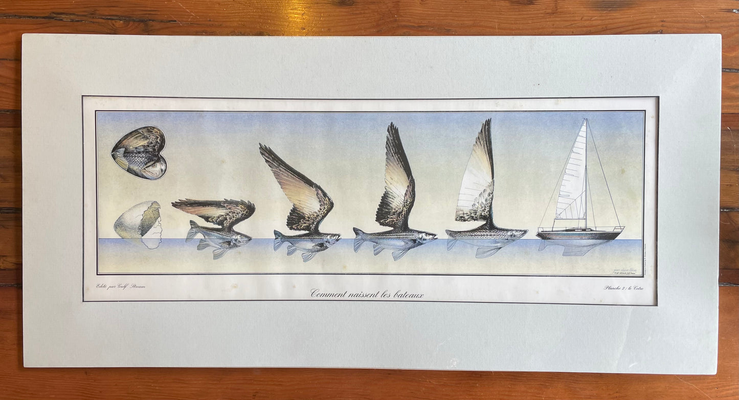 How boats are born: Fish to Cutter - Prints by Jean Olivier Héron
