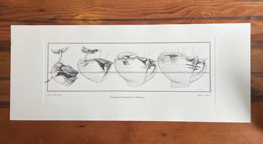How boats are born: Whale to Vessel - Prints by Jean Olivier Héron